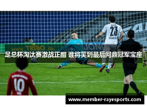 足总杯淘汰赛激战正酣 谁将笑到最后问鼎冠军宝座 足总杯淘汰赛激战正酣 谁将笑到最后问鼎冠军宝座